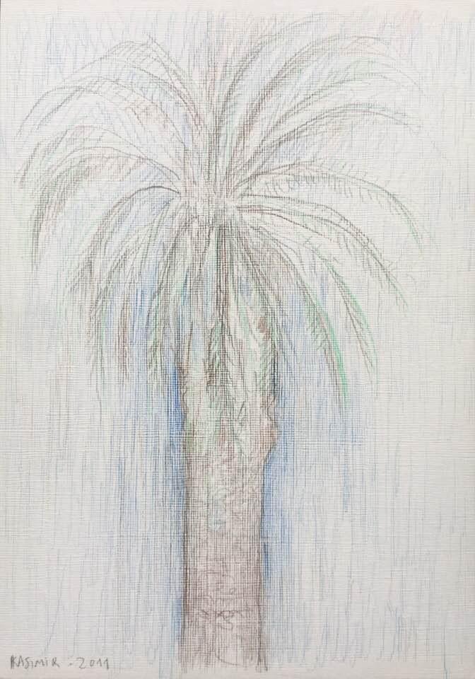 "La palmera davant de casa a Lisboa (III)"