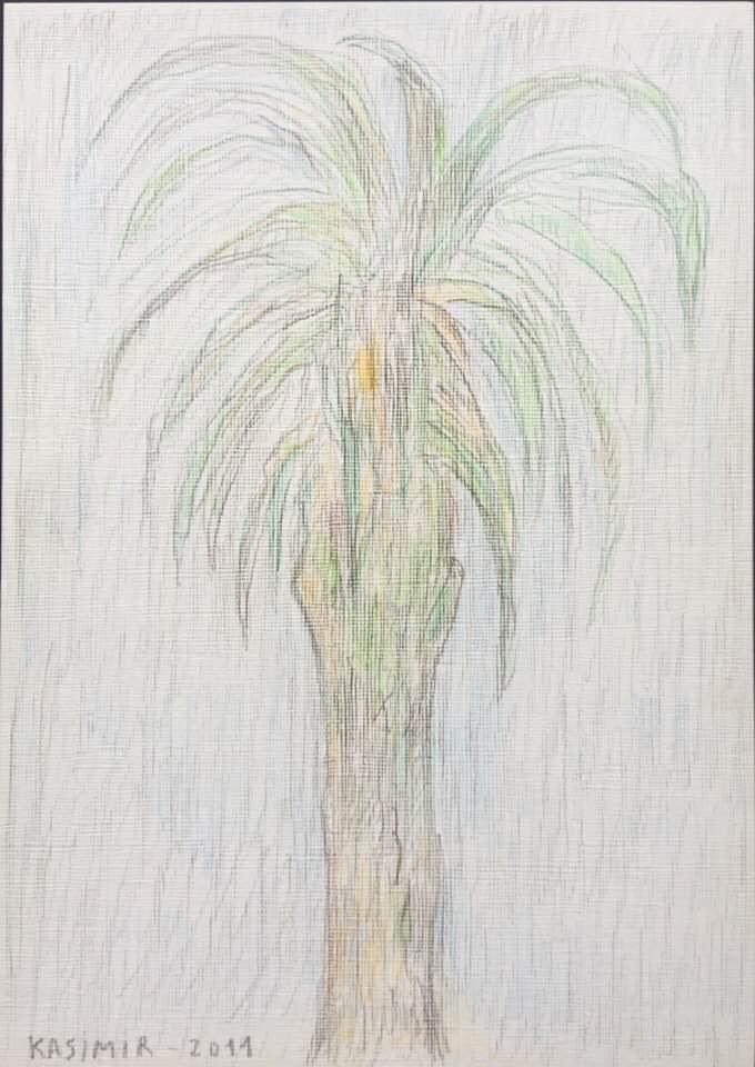 "La palmera davant de casa a Lisboa (IV)"