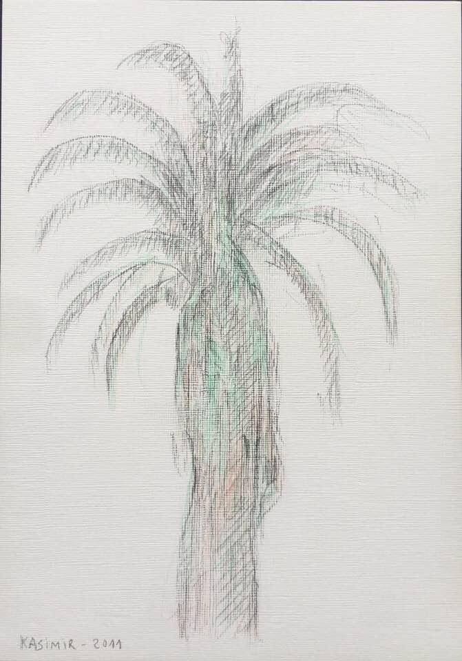 "La palmera davant de casa a Lisboa (VIII)"