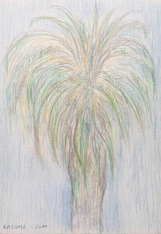 "La palmera davant de casa a Lisboa (IX)"