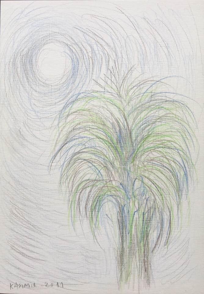 "La palmera despentinada per la lluna (X)"