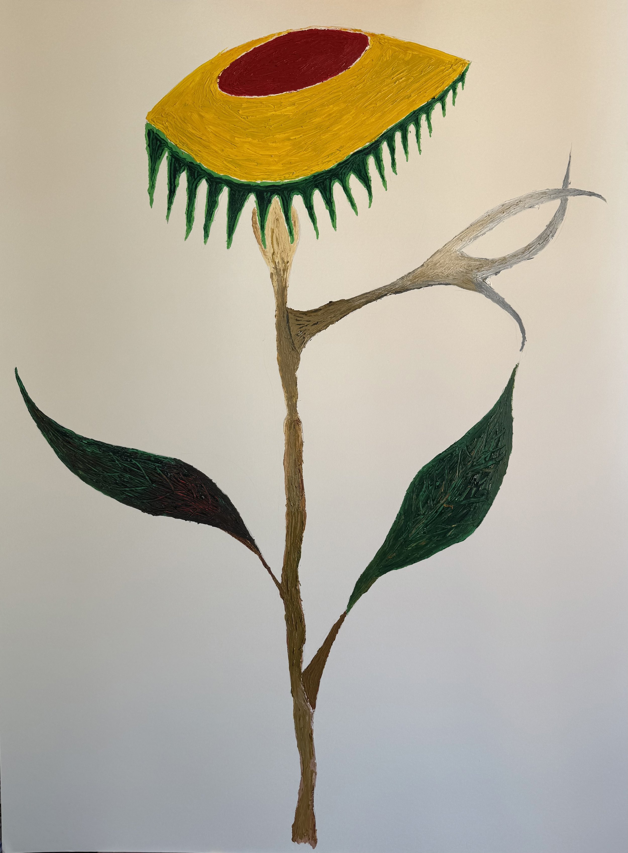 “New flower for new times / Zantedeschia elliottiana” (2025)