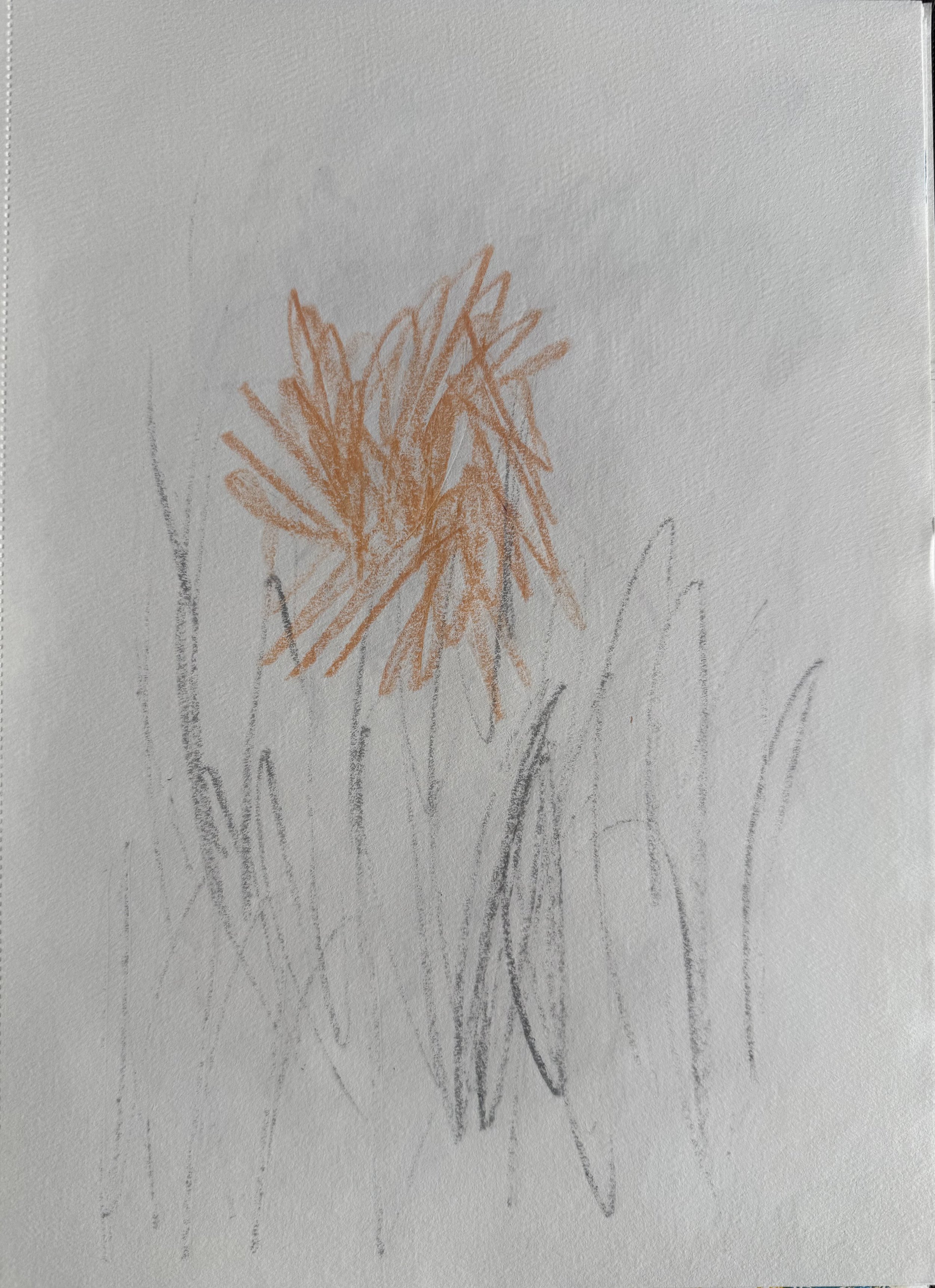 "Instants" (2017)