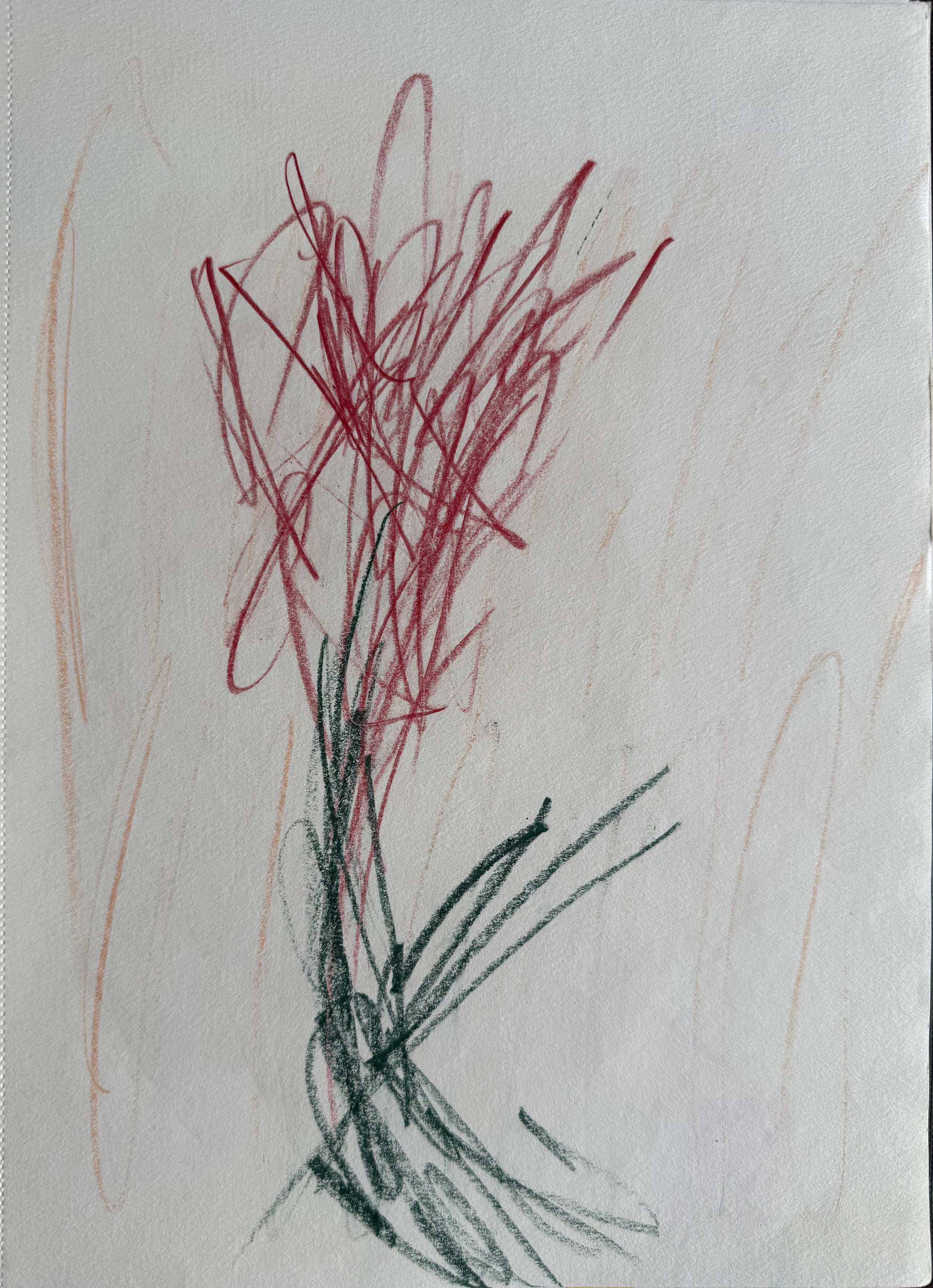 "Instants" (2017)