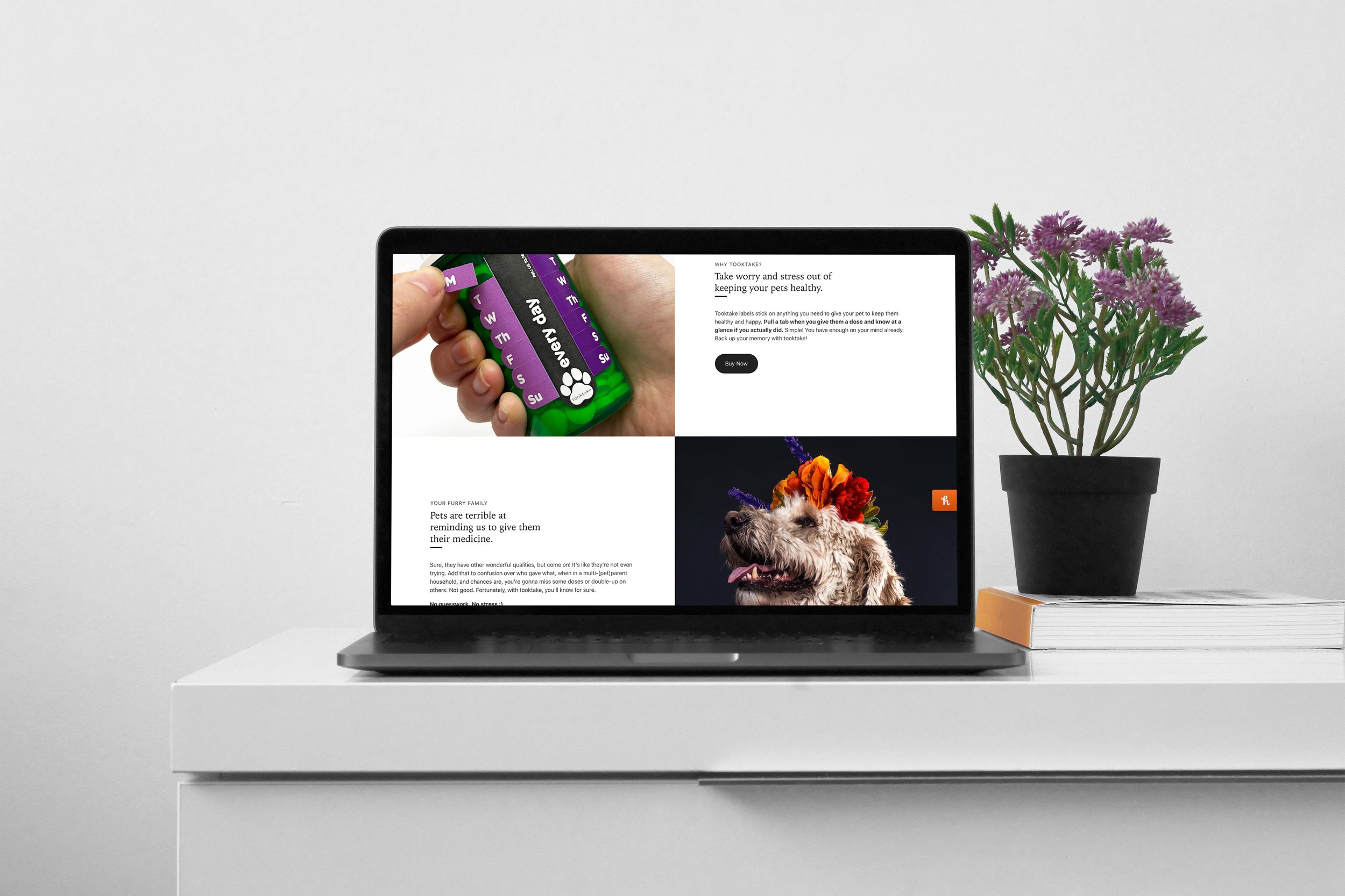 TT_Website_Mockup_4.jpg