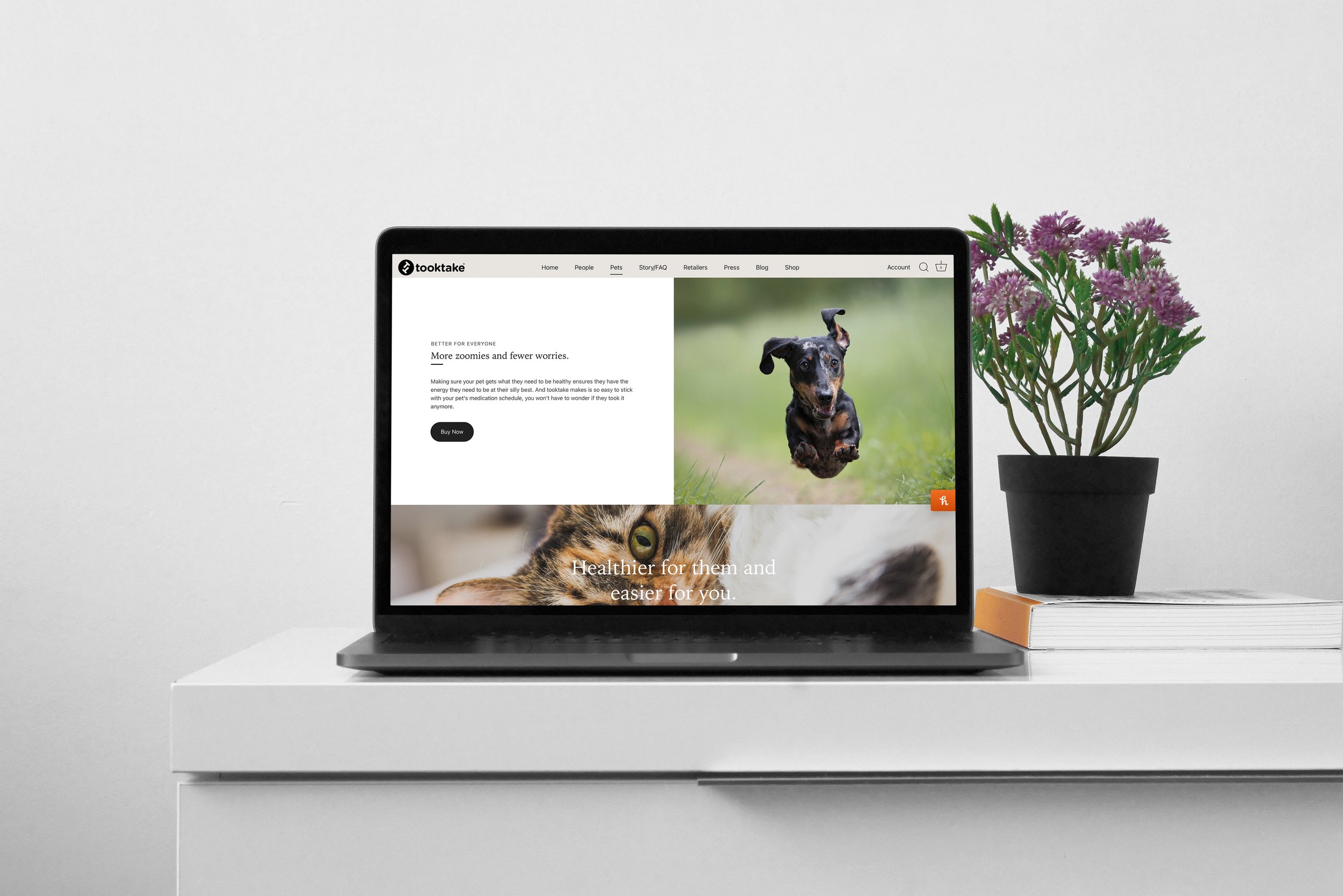 TT_Website_Mockup_5.jpg