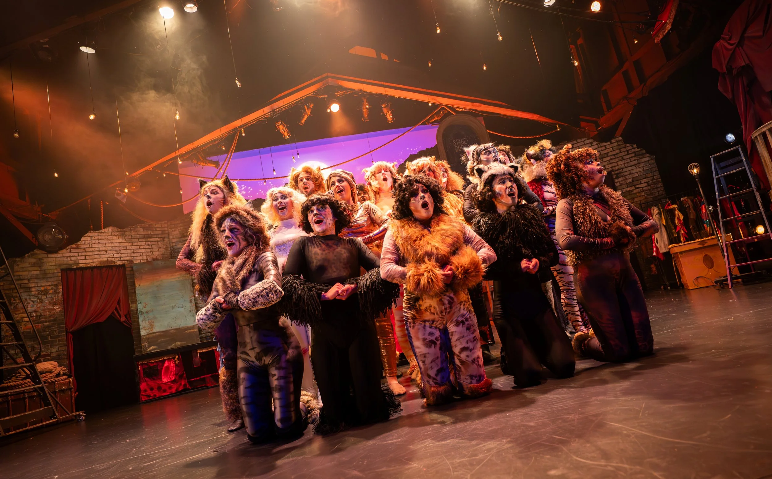 Cats_2026_026.jpg
