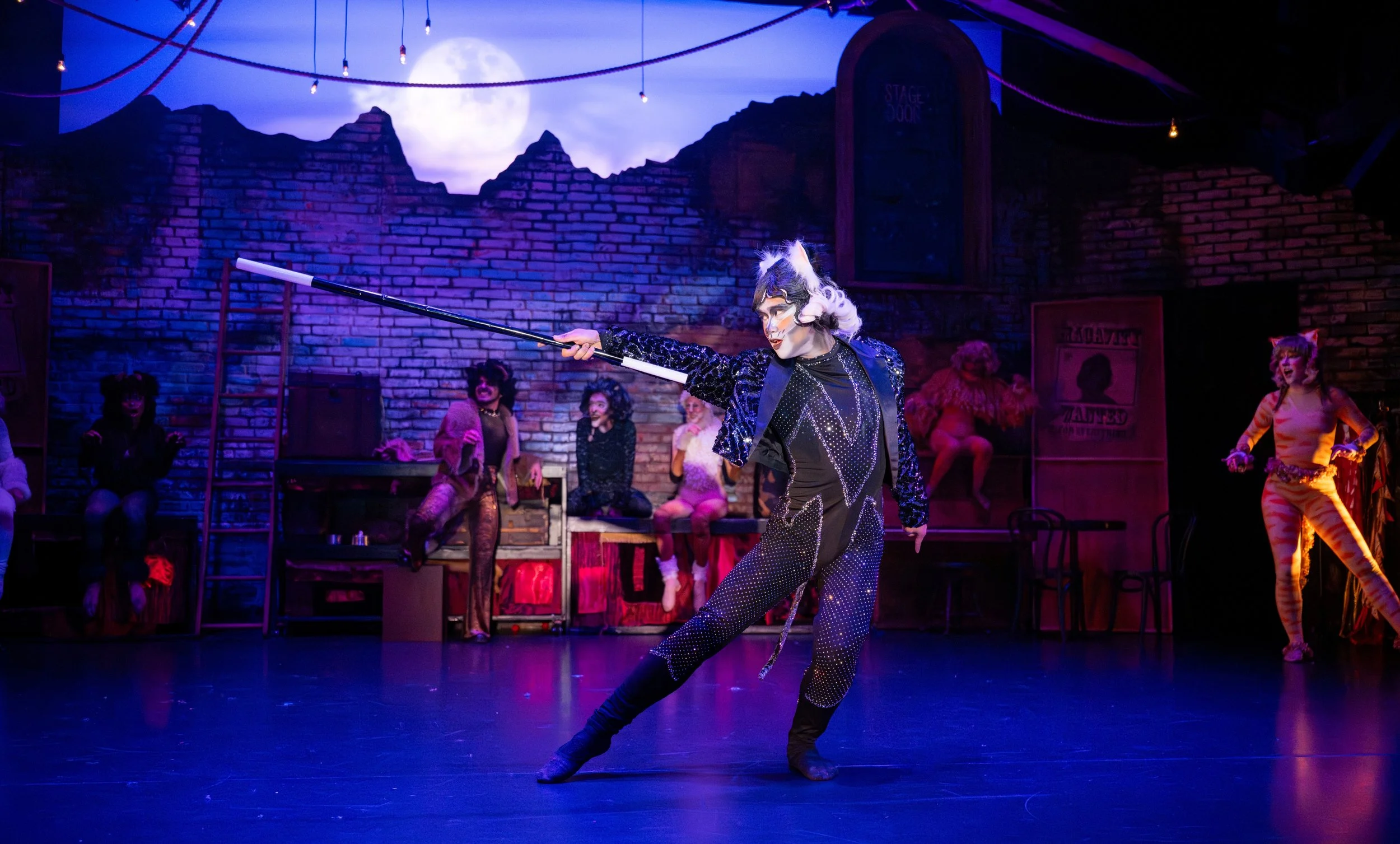 Cats_2026_327.jpg