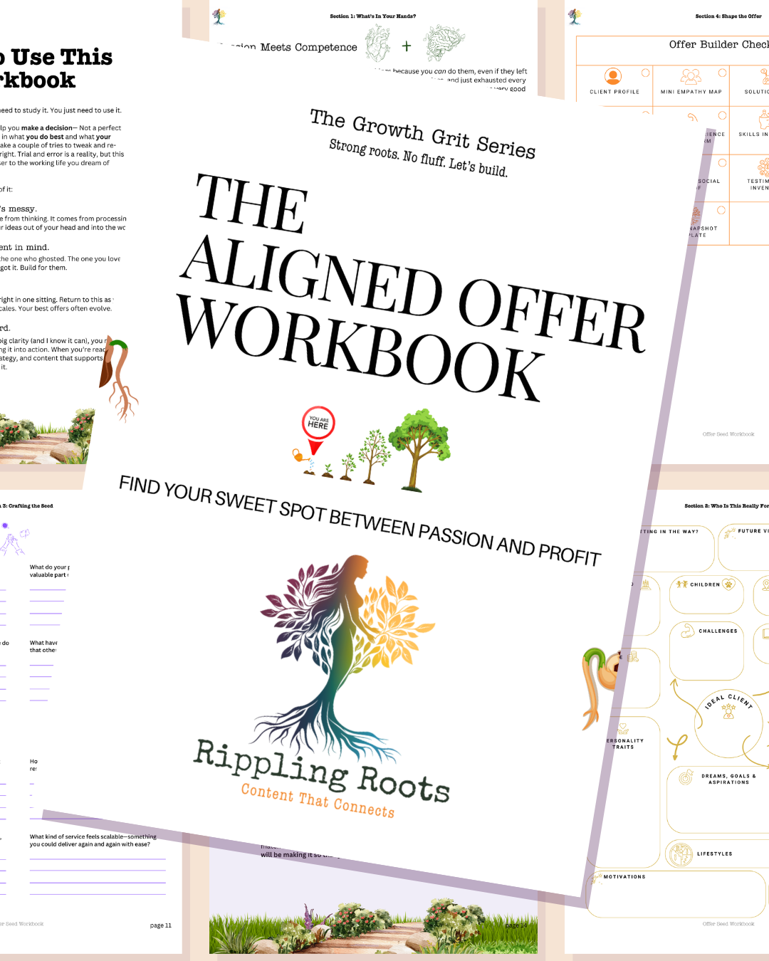The Aligned Offer Workbook