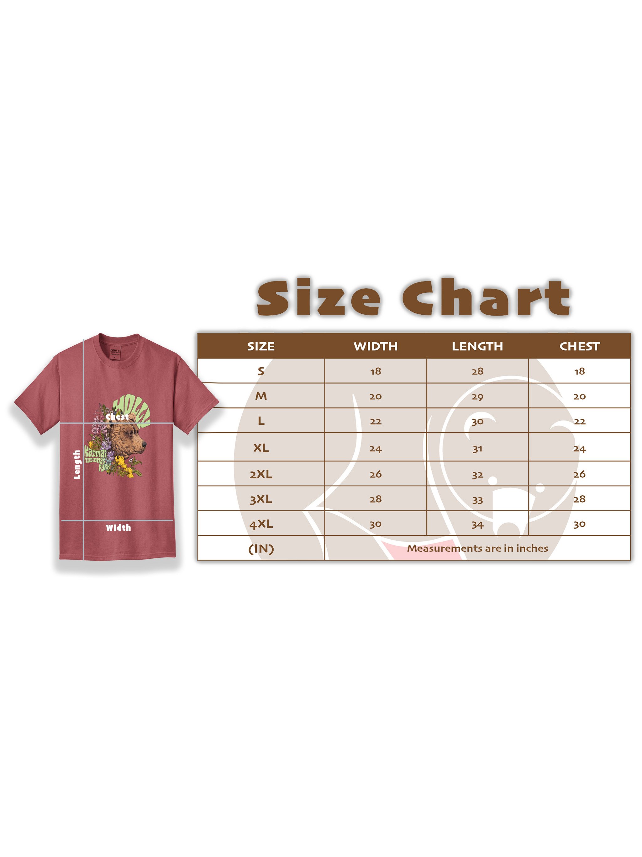 Retro Bear Shirt Size Chart.jpg