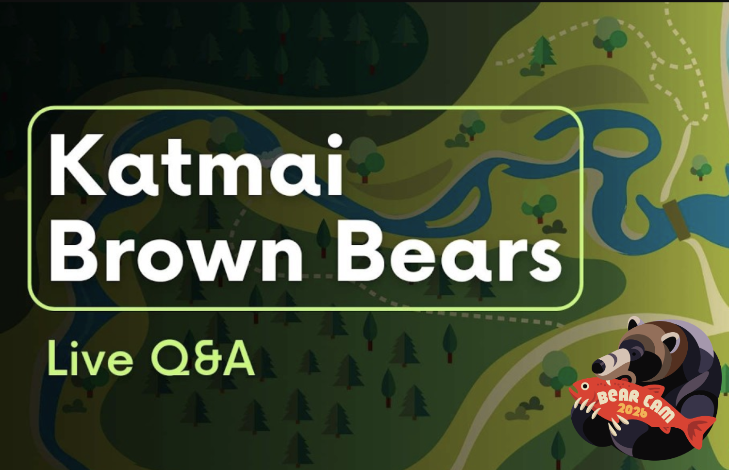 Bear Management at Brooks Camp | Brooks Live Chat