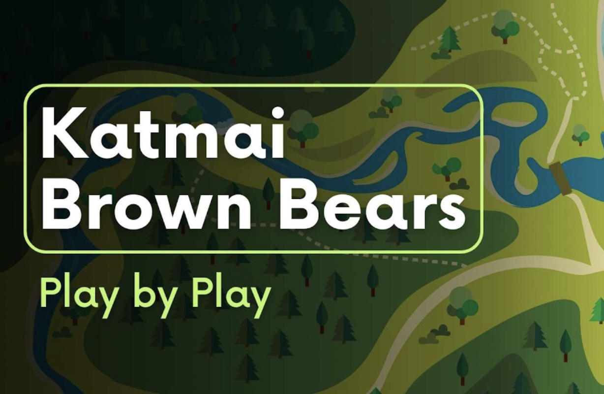 Bearcam Play-by-Play | Brooks Live Chat 