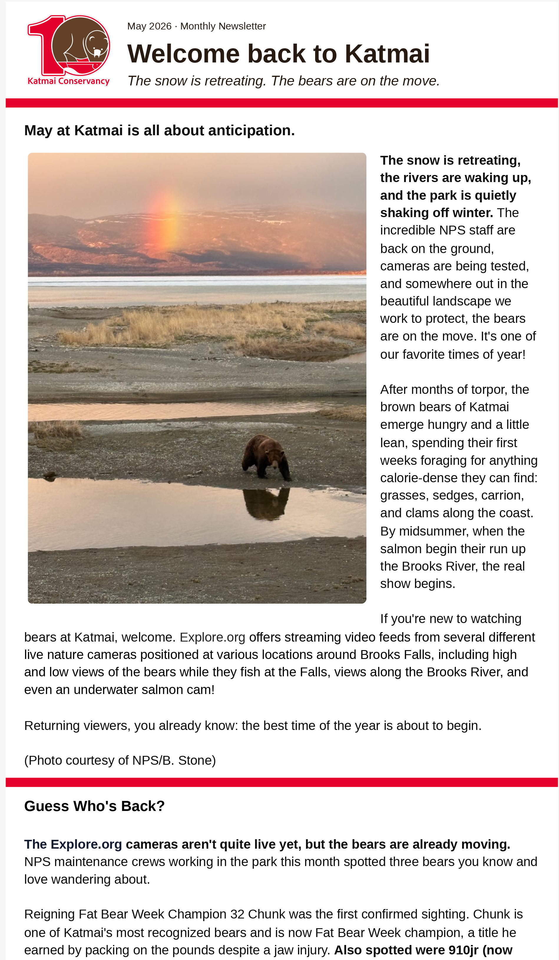 A bear standing at the edge of a small body of water, with a landscape of mountains and a rainbow in the background.