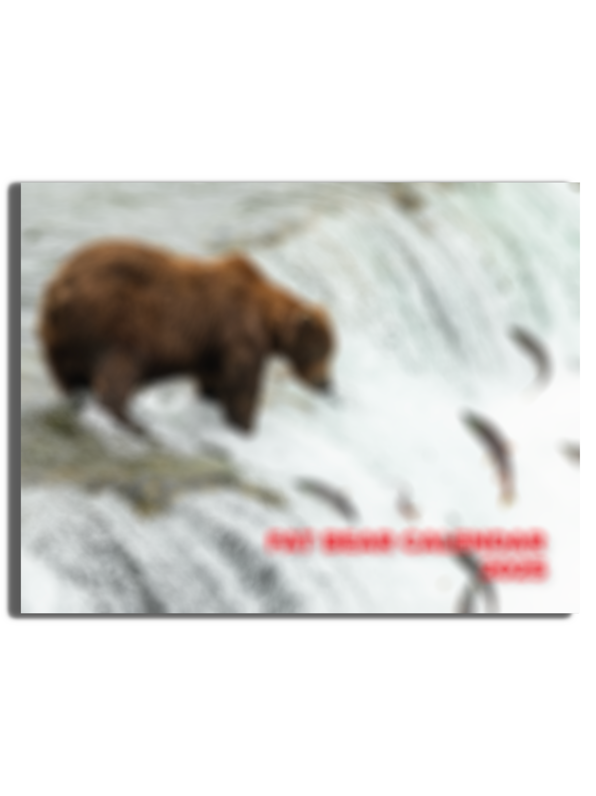 2026 Fat Bear Cal.png