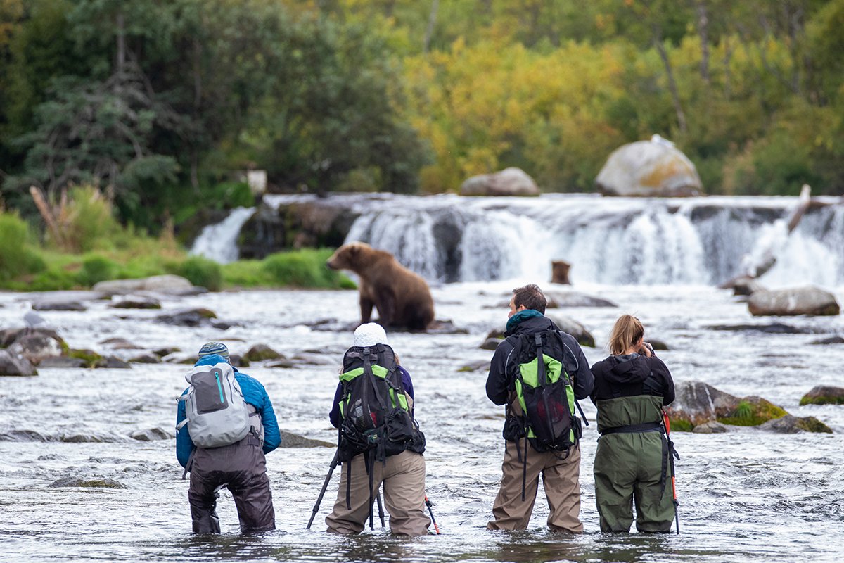 Brooks Camp Visitor Survey