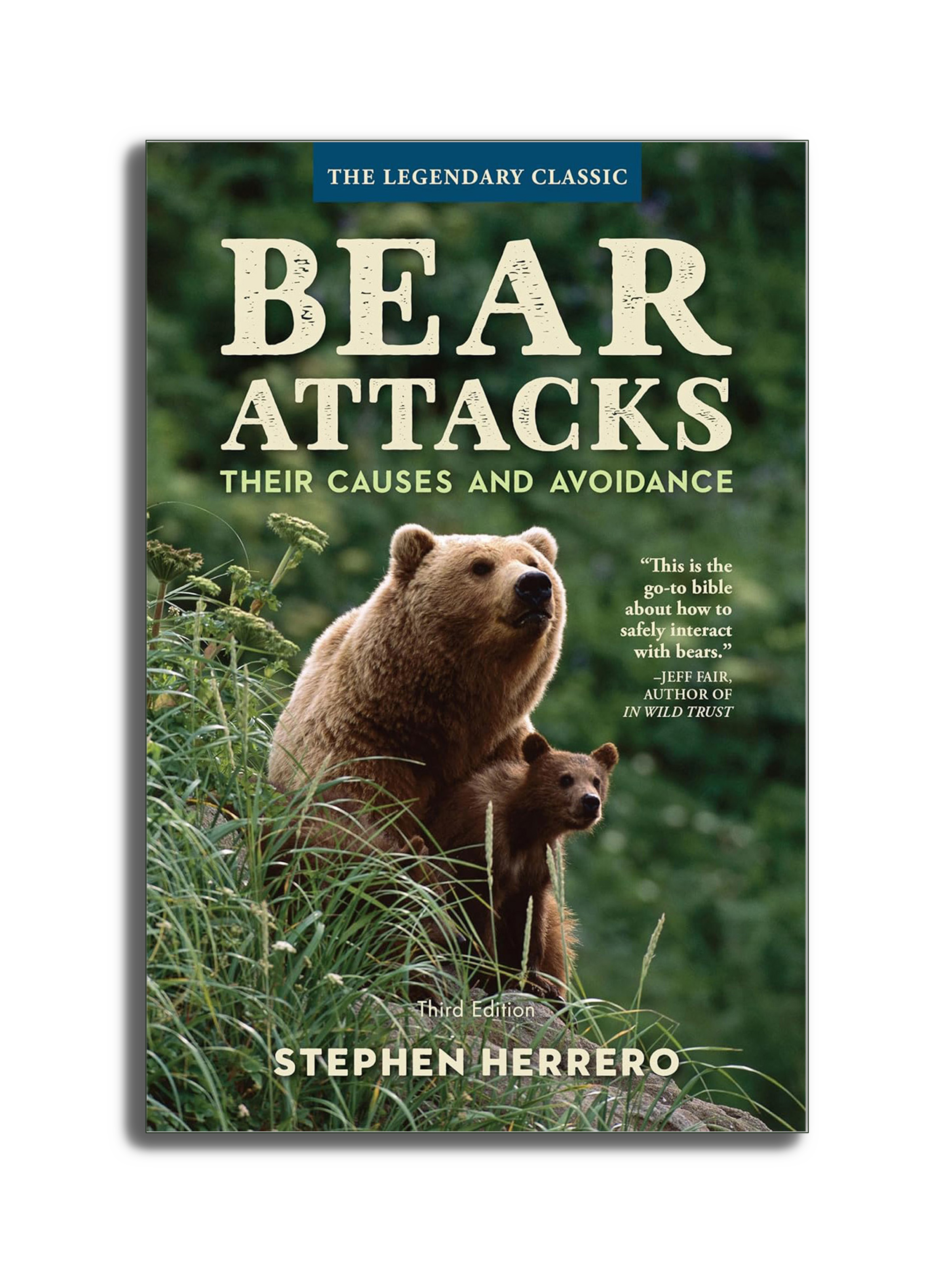 BearAttacks-TheirCausesandAvoidance.png