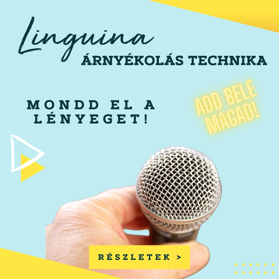 Miért nem elég a folyékony angol egy nemzetközi vezetőnek?