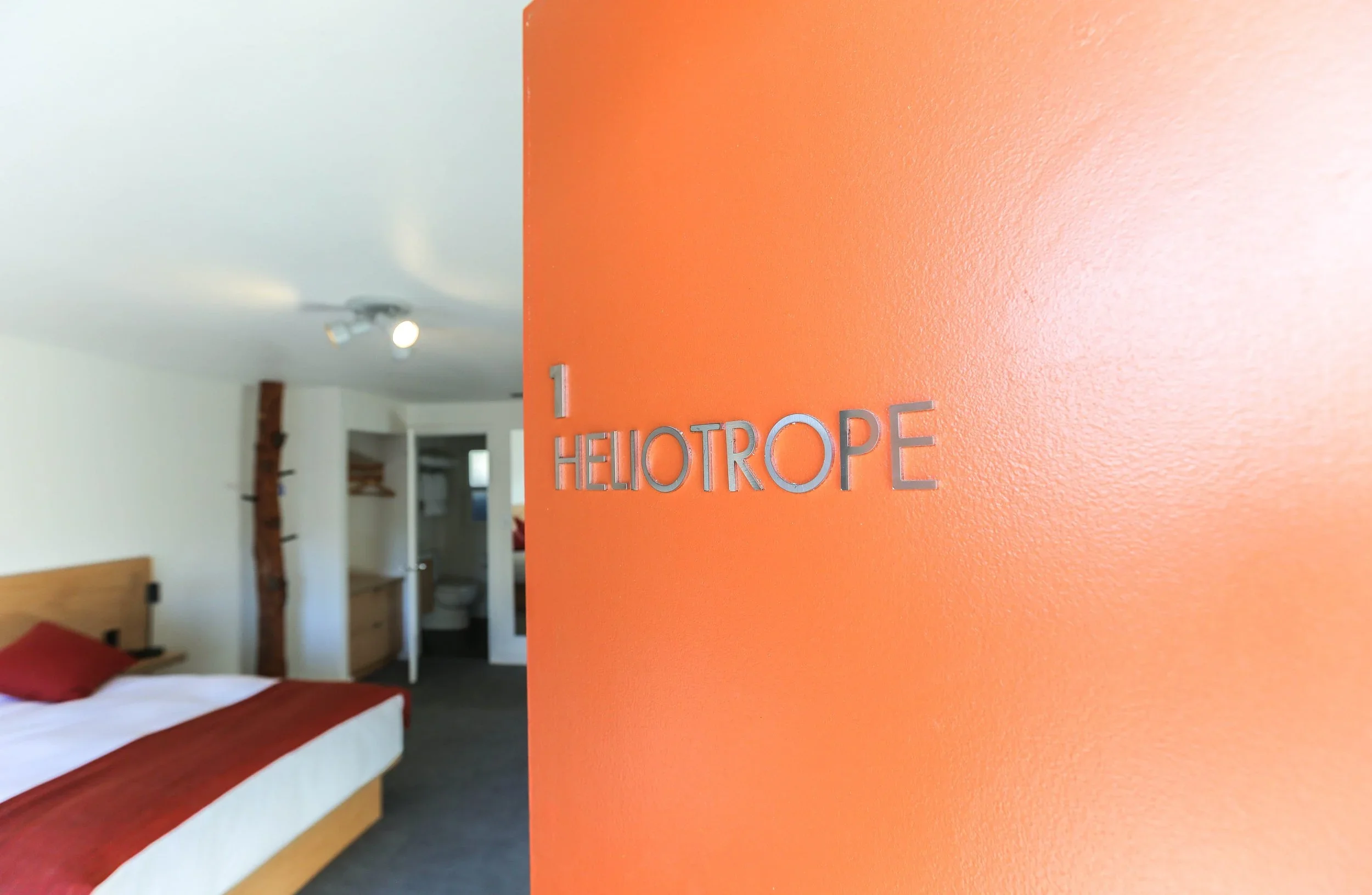 Door+and+room.webp