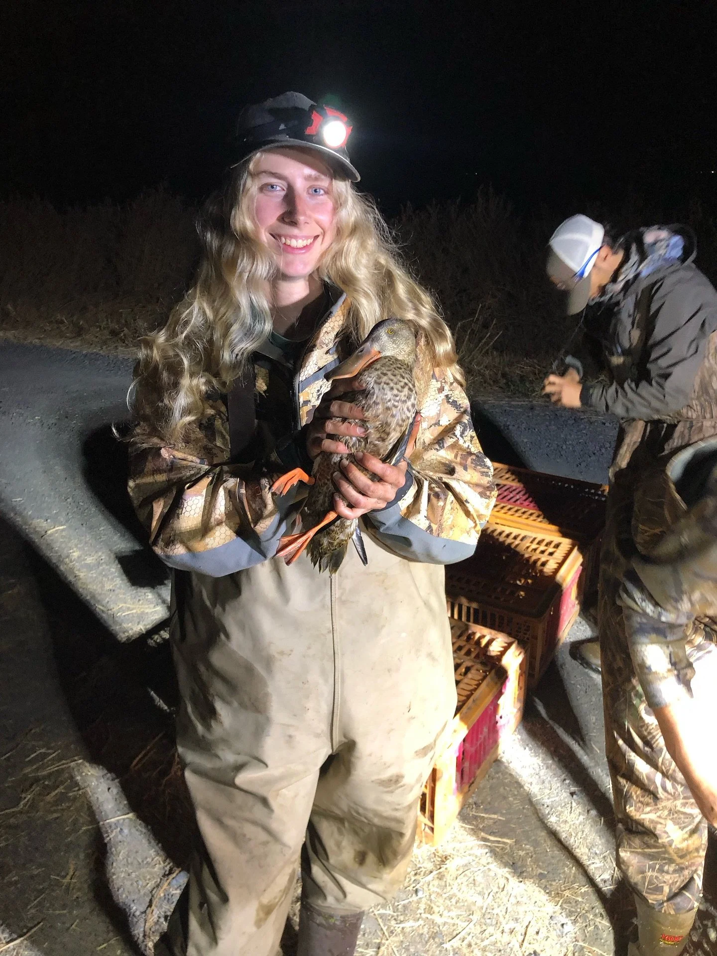 Had an incredible time getting to experience nightlighting! Our one night banding record was even broken. Over 1270 birds were banded in one night!

Night lighting is a technique used to capture ducks at night using an airboat and a spotlight. The dr