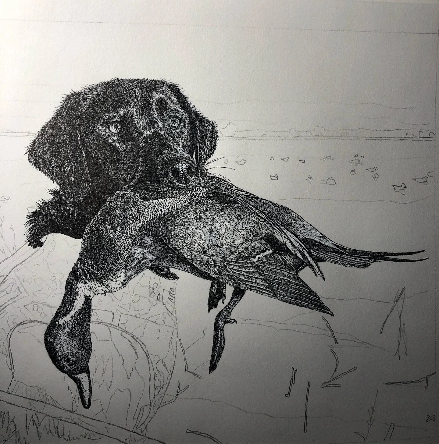 Work in progress&hellip;