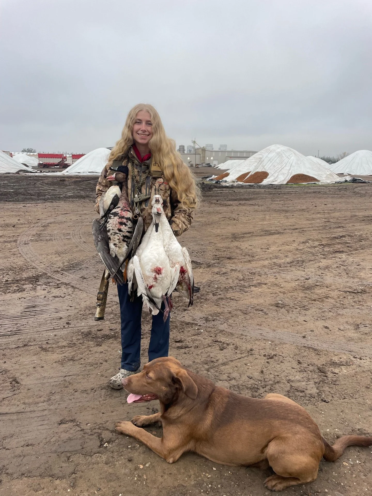 Cold fronts, backyard huller hunts, and Christmas tree adventures with Franchi. 🦆🎄

Franchi is a captive bred wood duck owned with proper permits.