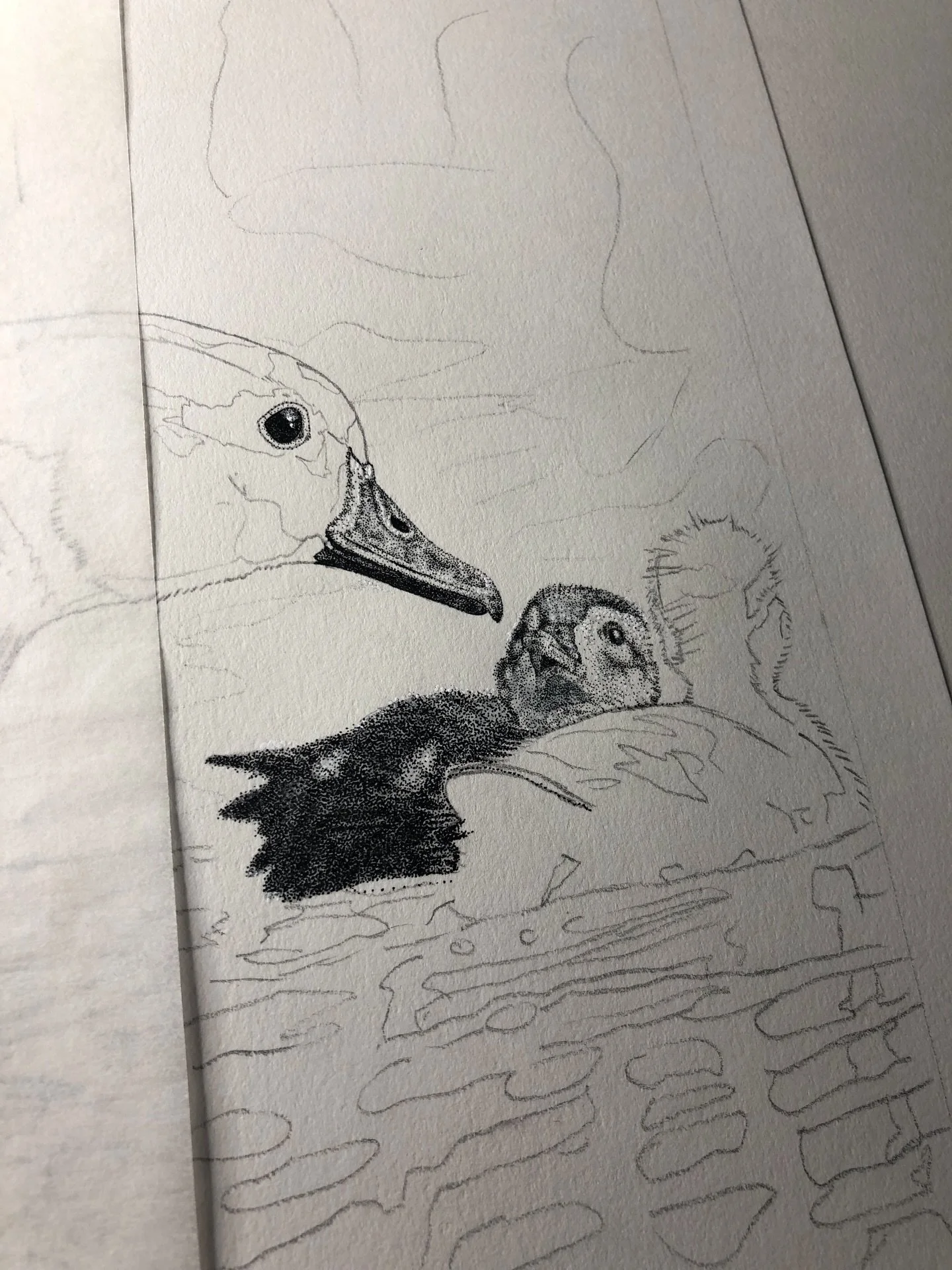 Work in progress. 

Reference photo by @jeffmooreimages