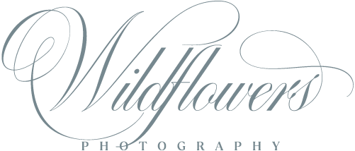 Wildflowers Photography