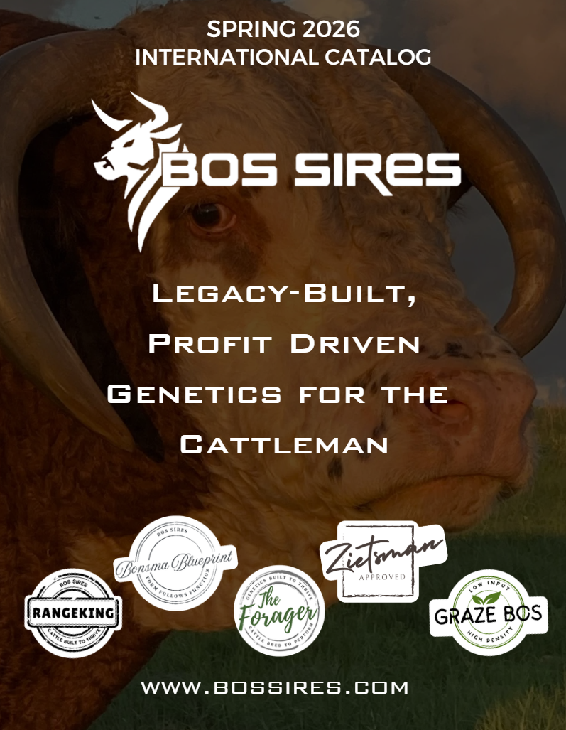 Bos Sires Spring 2026 International Catalog (English)