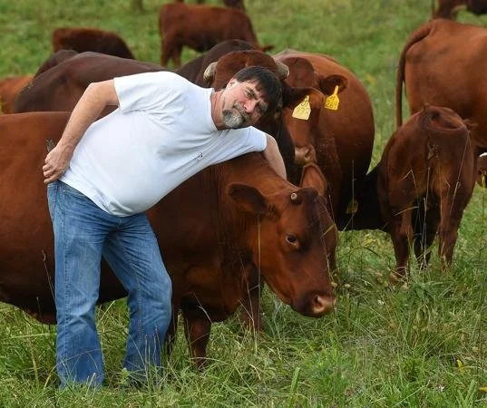 Bent Tree Farms — Bos Sires