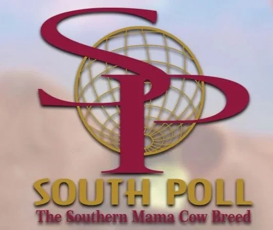 South Poll Breed Association logo — representing a breed dedicated to low-input, heat-tolerant cattle genetics with emphasis on fertility, structural soundness, and sustainable beef production.