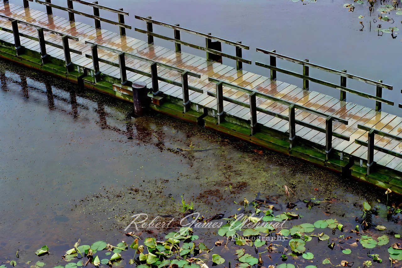 Point Pelee boardwalk Restored.jpg