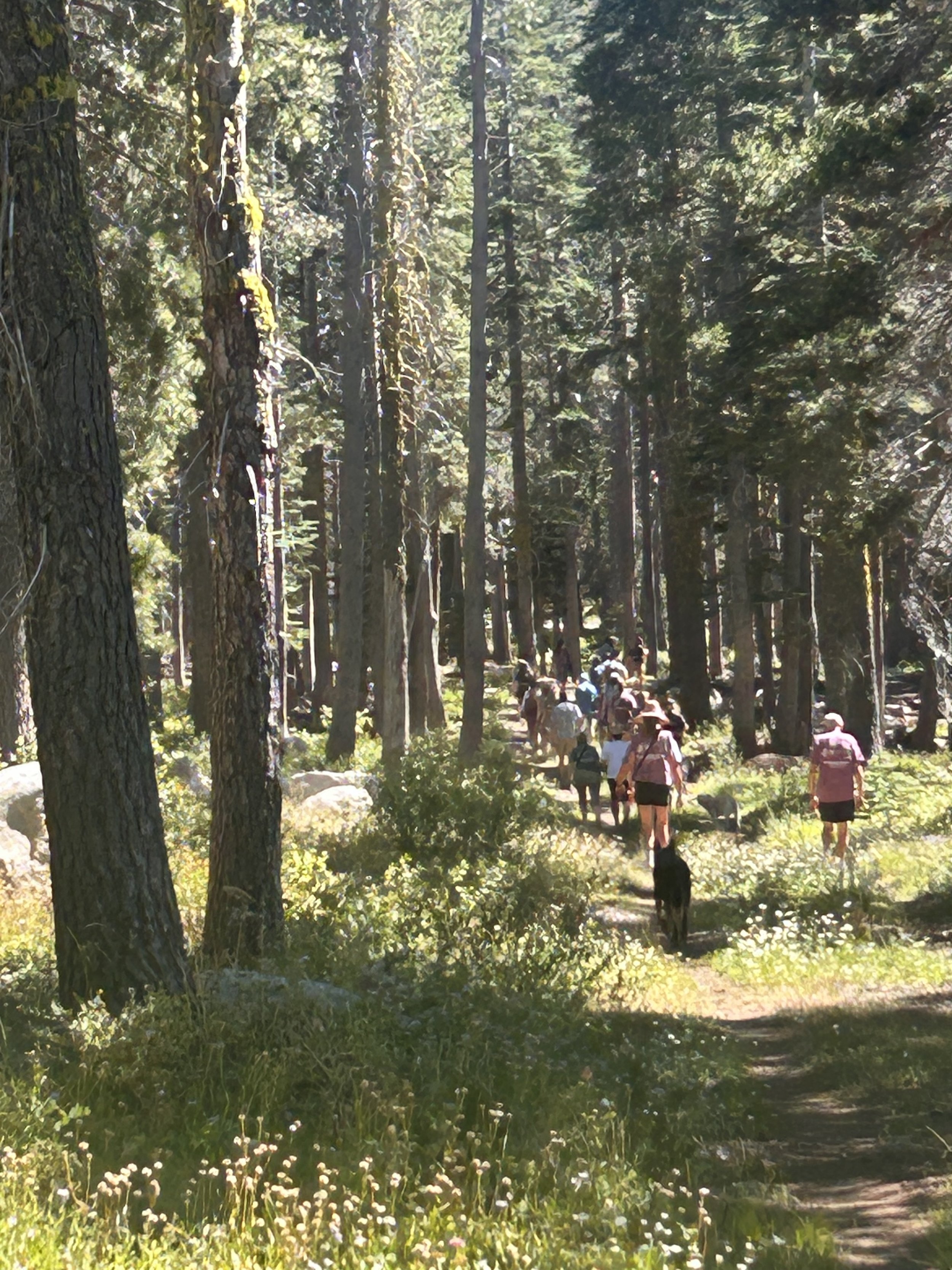 Hike, Sweat, Celebrate:                Eliza’s 27th Birthday 