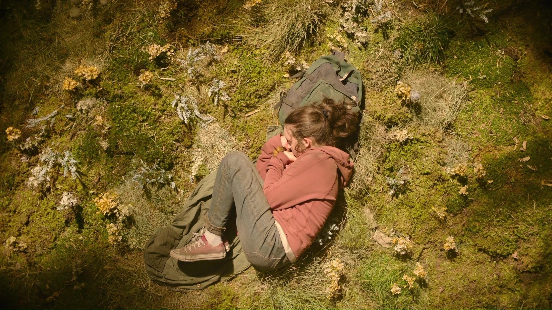 The Last of Us - Overhead.jpeg