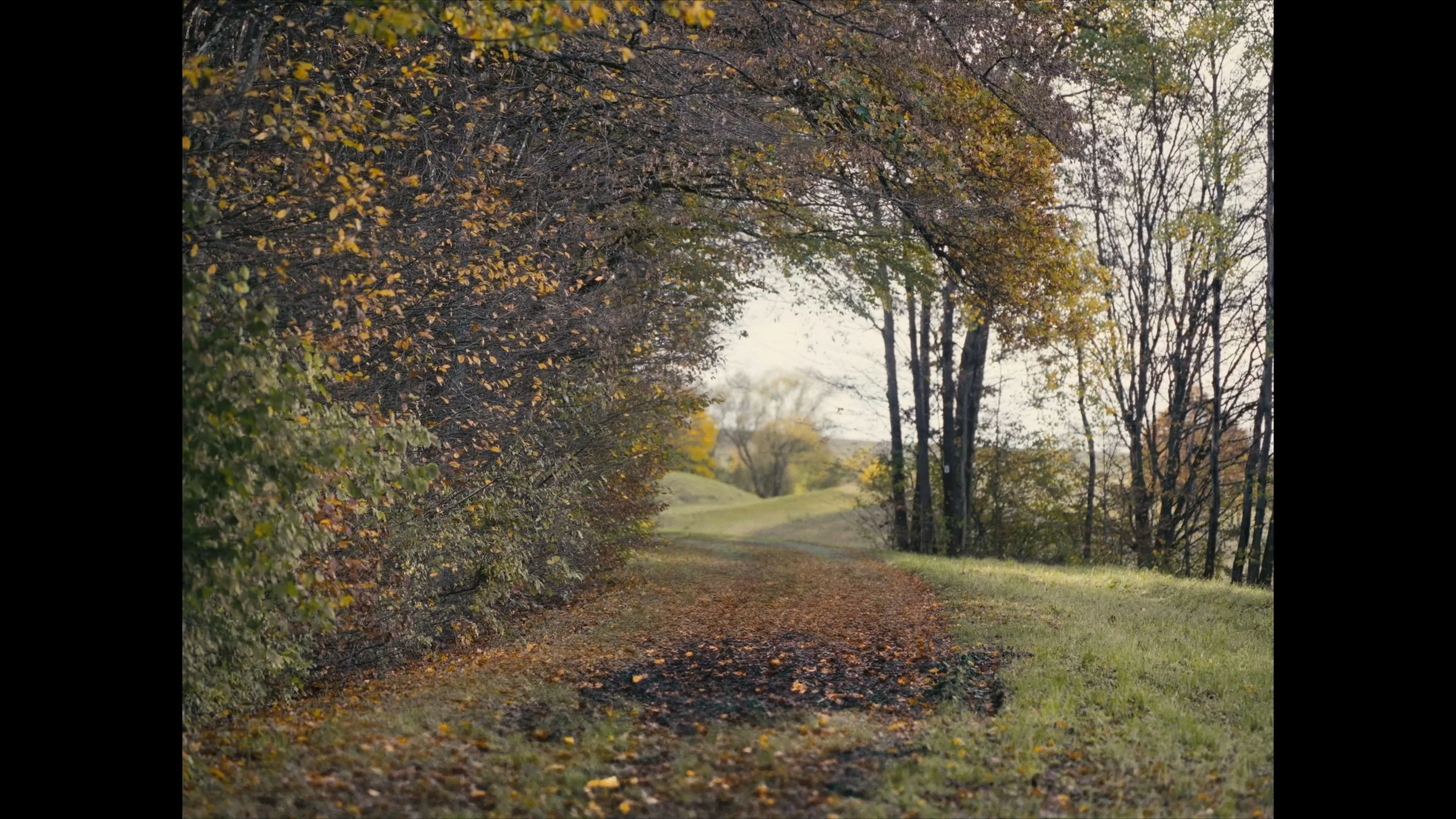 Still 2026-03-05 134332_1.2.2.jpg