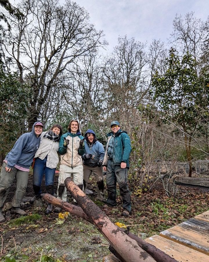 An amazing harvest of ḰȽO&cedil;EL!! The PH team joined Nathan Fisk at Fort Rodd Hill to harvest edible camas for our upcoming Fall feast. We will be cooking the camas into a spread flavoured with KEXMIN. 

ḰȽO&cedil;EL bulbs that were not the right 