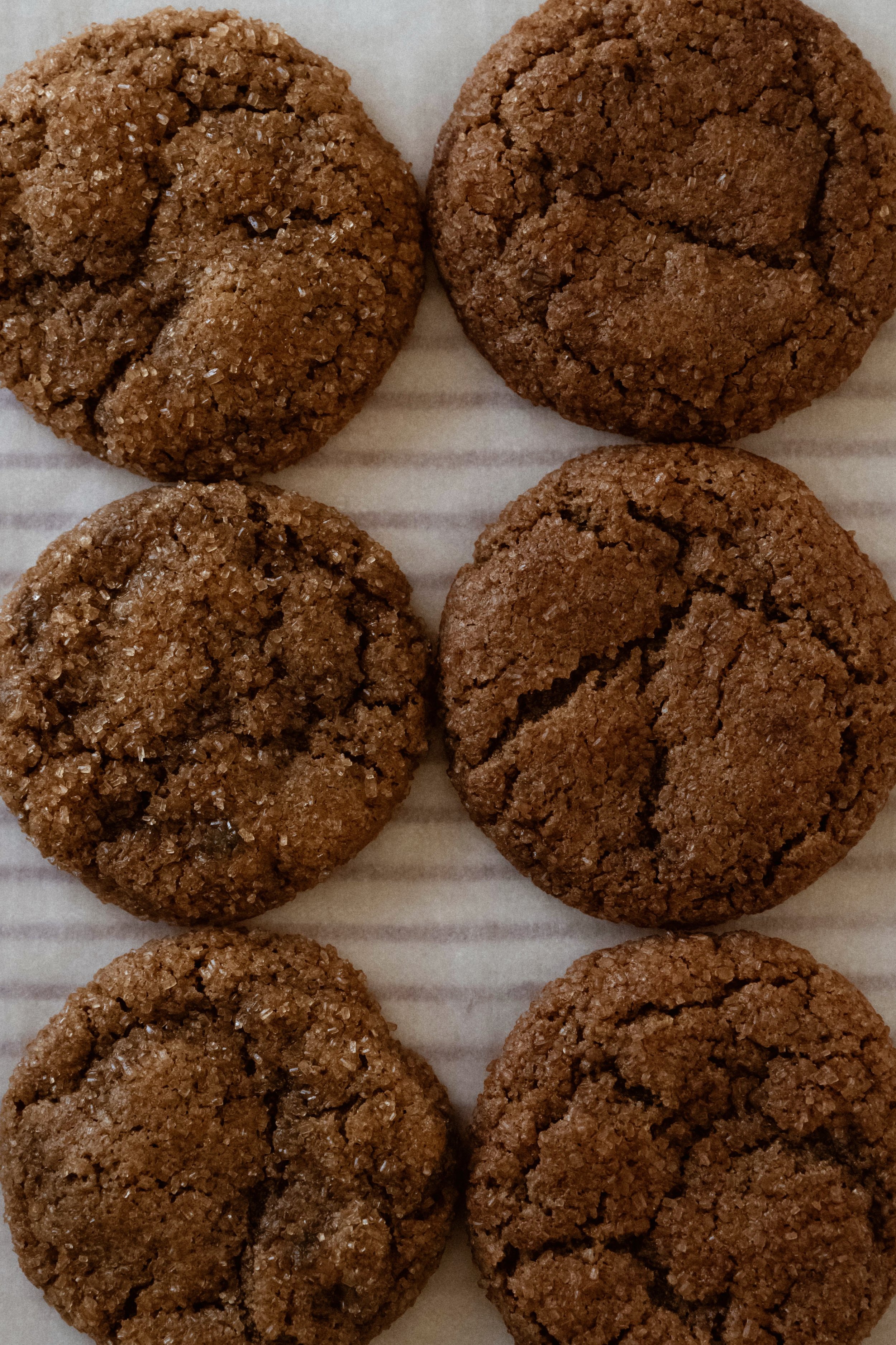 Half Dozen Ginger:Snicjer 10.jpg