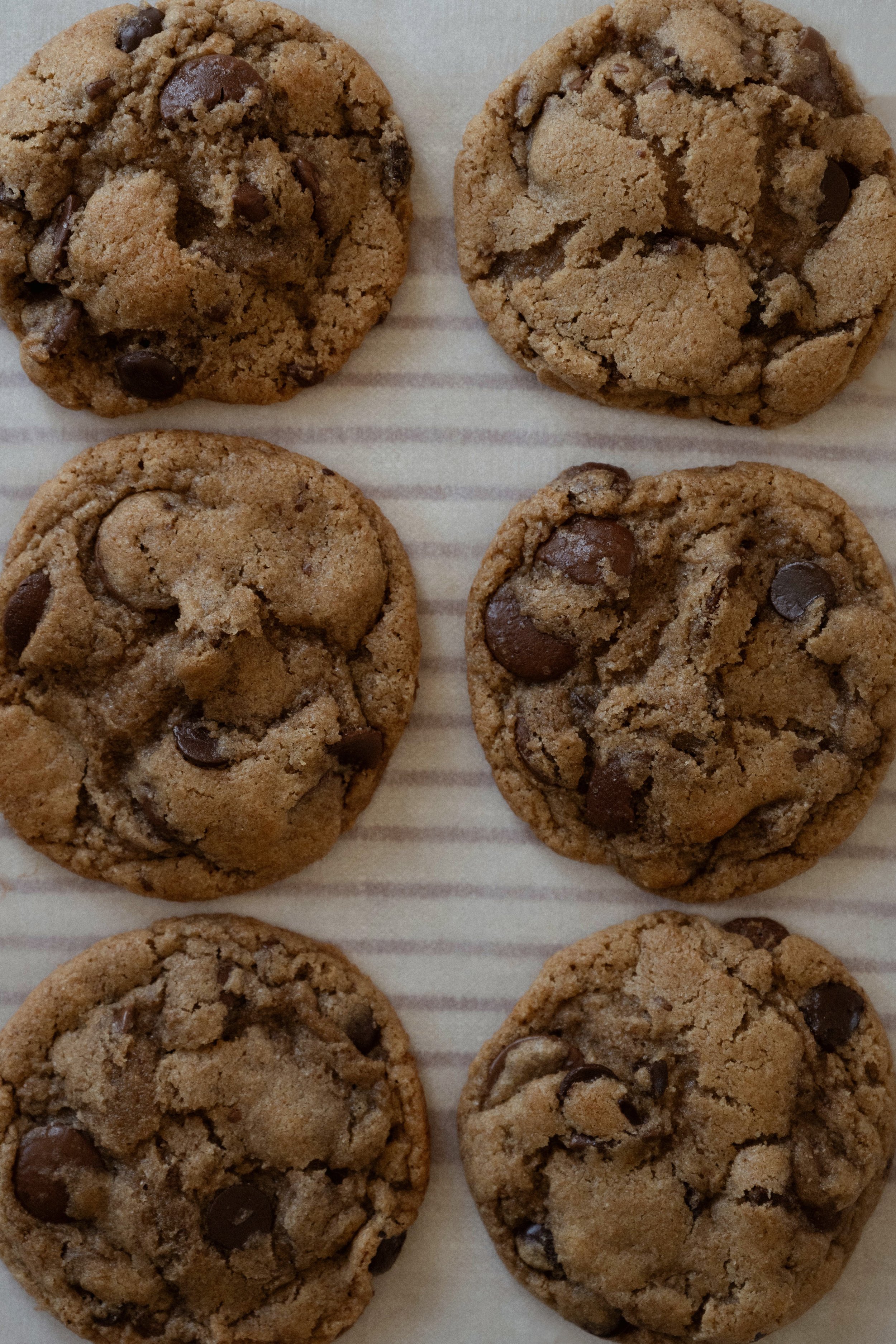 Half dozen heritage sourdough chocolate chip cookies