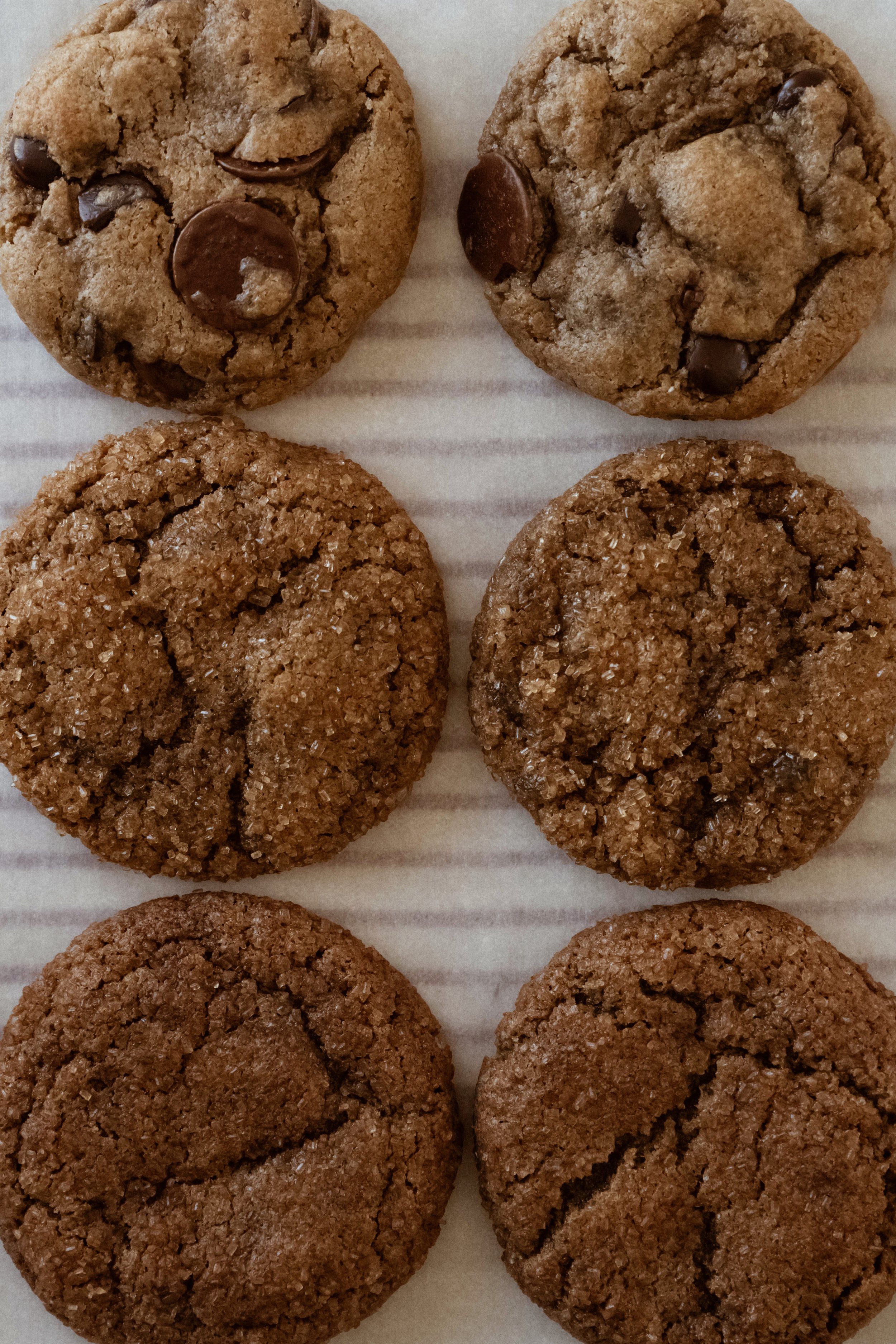 Half Dozen 50_50-VSCO-2.jpg