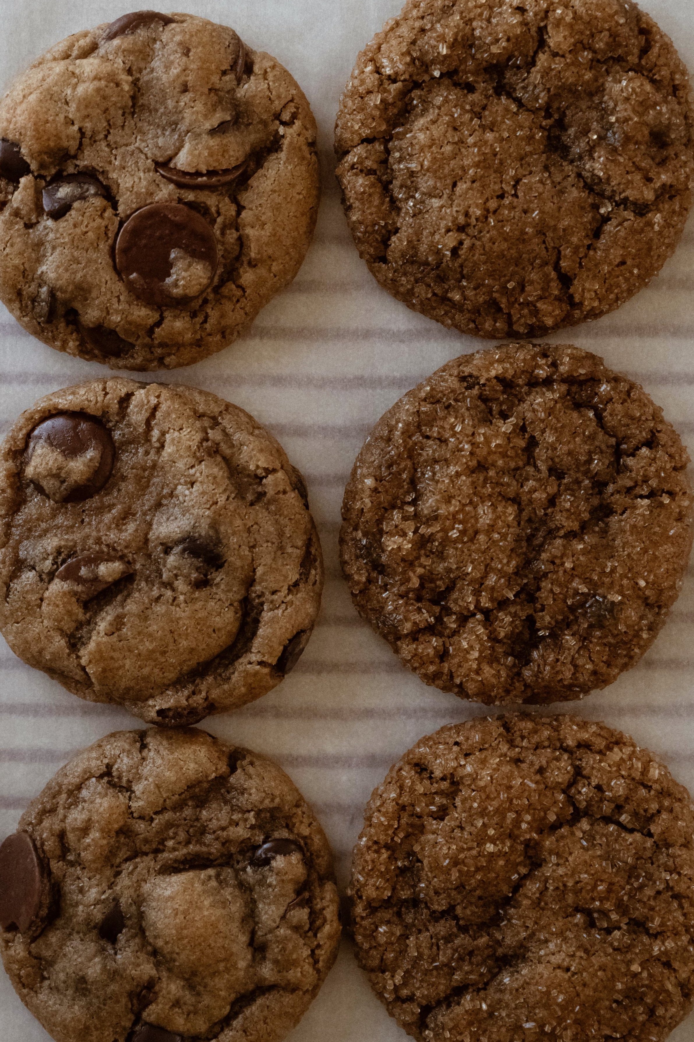 Half+Dozen+Ginger%3AChoc+6.jpg