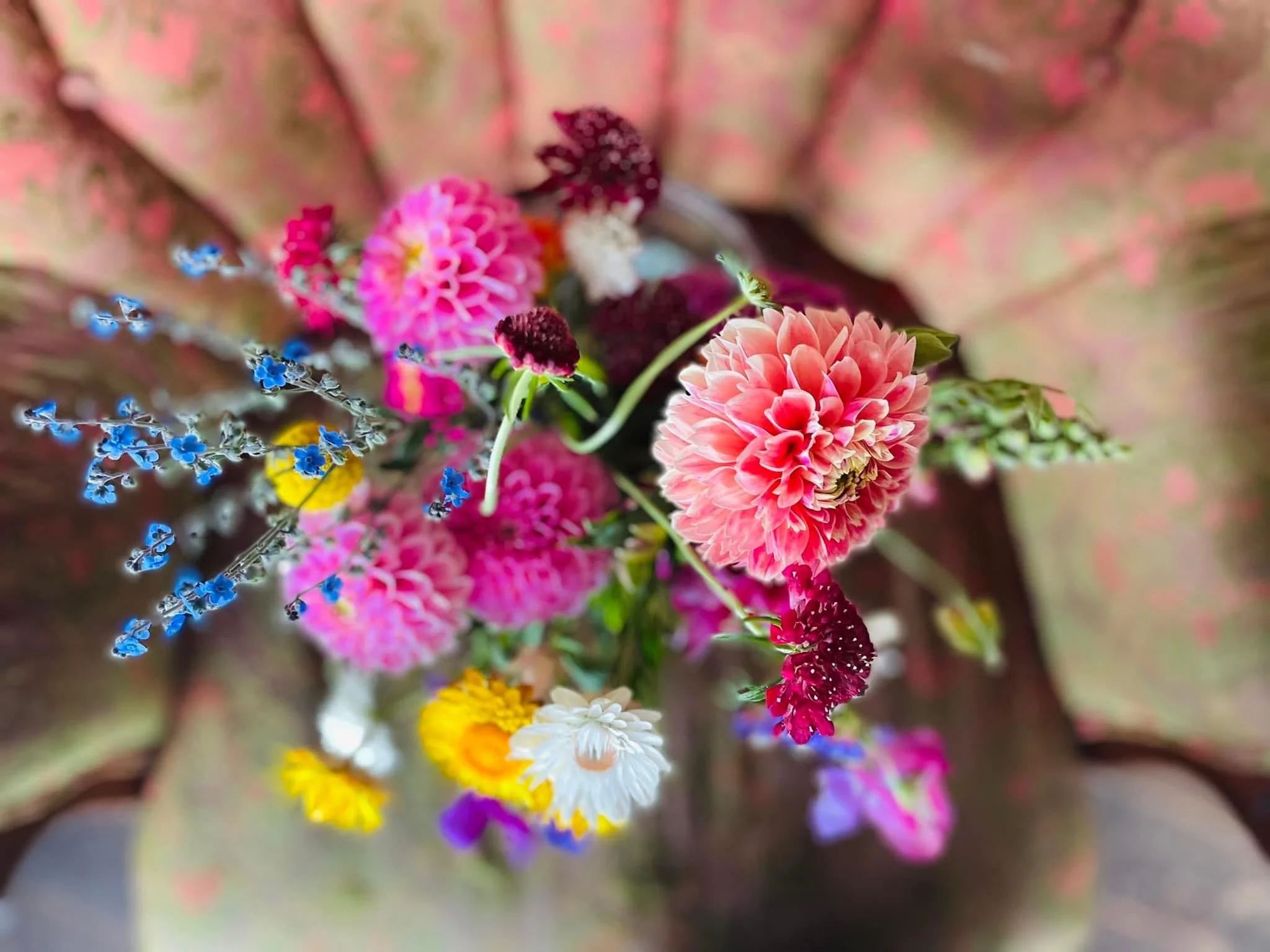 Flower of the Month Club - Flower Share - CSA