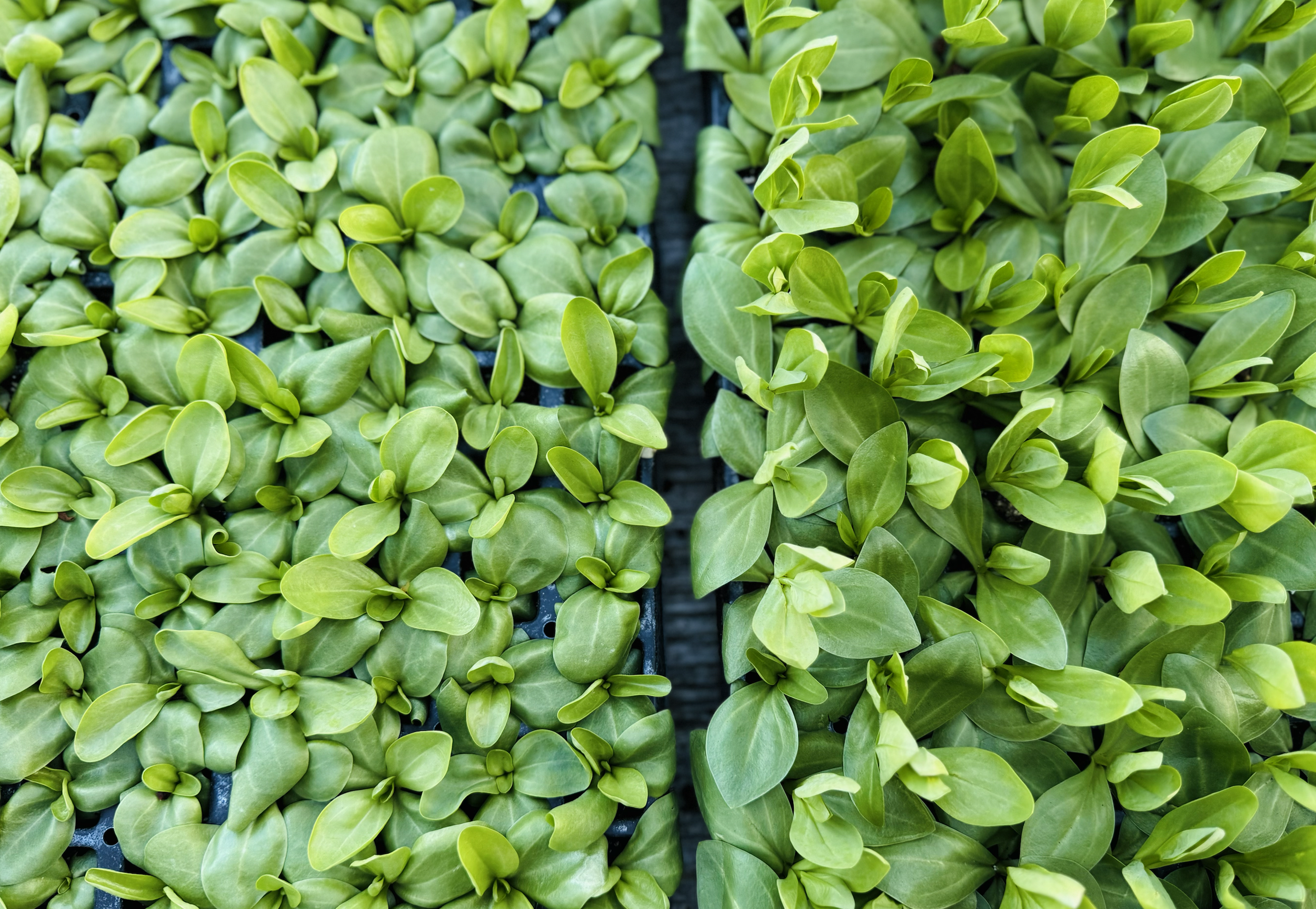 Screenshot 2026-04-13 at 12.06.19 PM.png