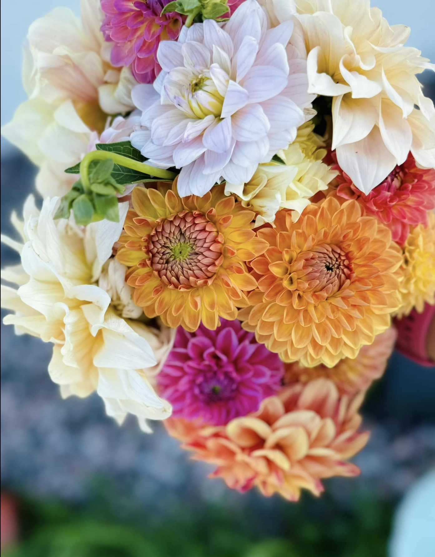 Screenshot 2025-05-23 at 6.09.26 PM.png