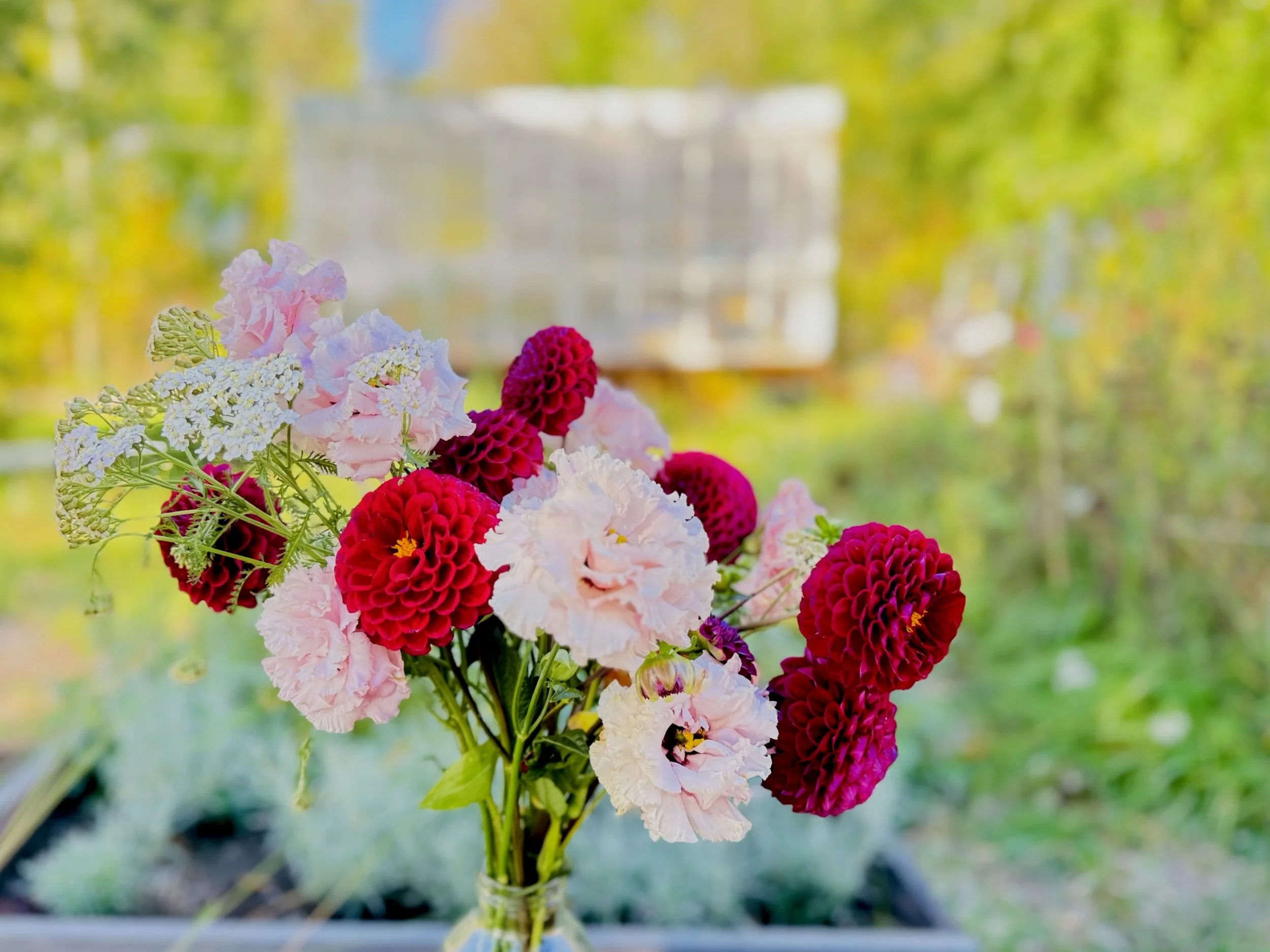 IMG_4488 (1).jpg (Copy) (Copy)