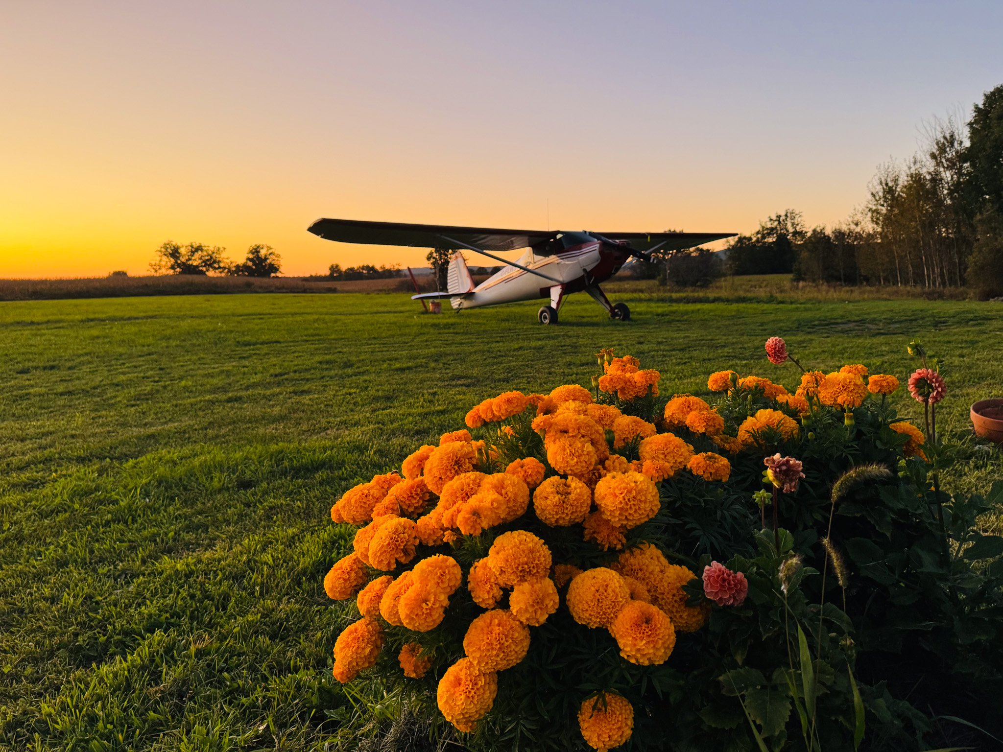 IMG_5127.jpg (Copy) (Copy)