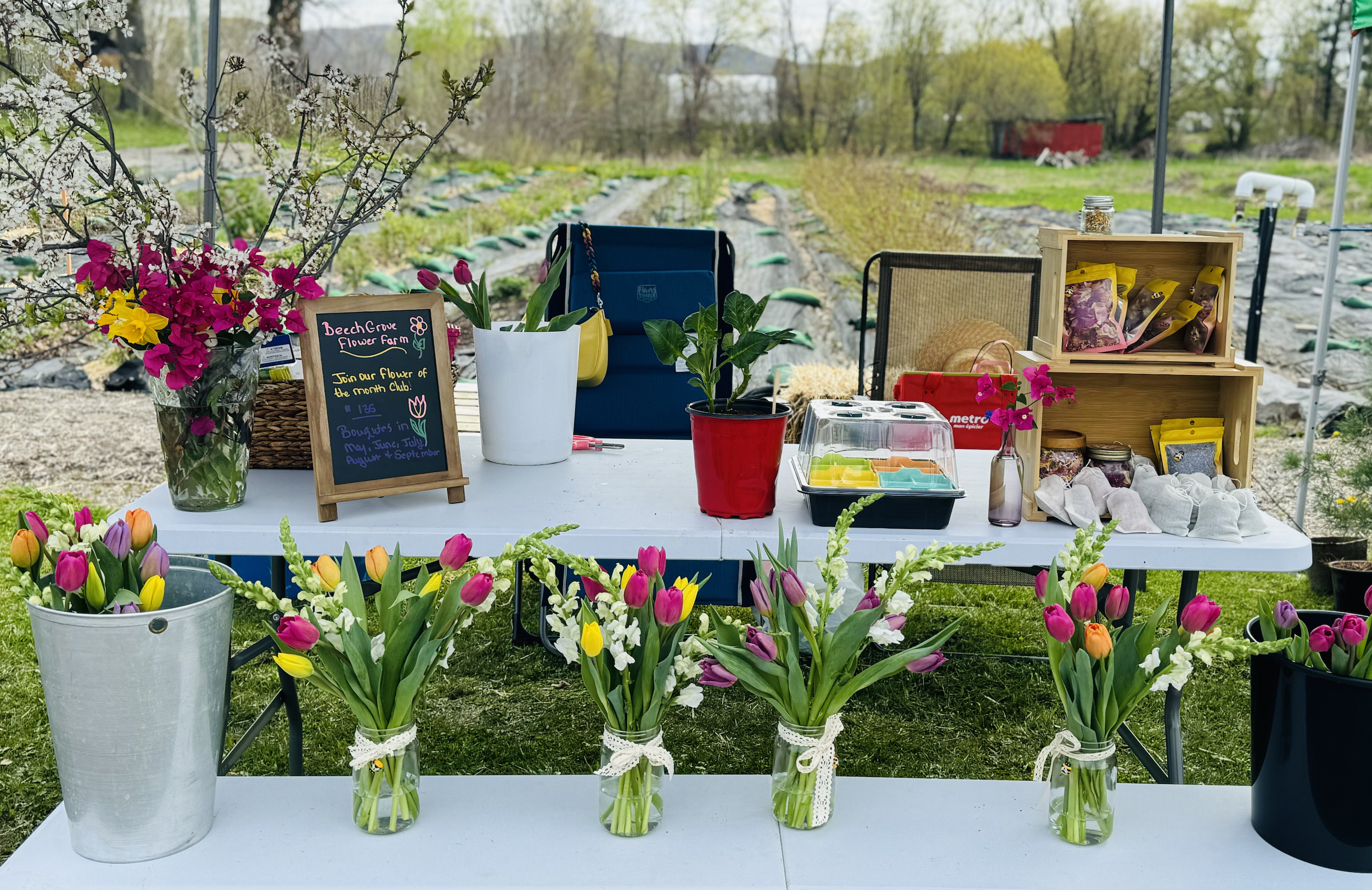 Screenshot 2026-04-14 at 10.45.45 AM.png