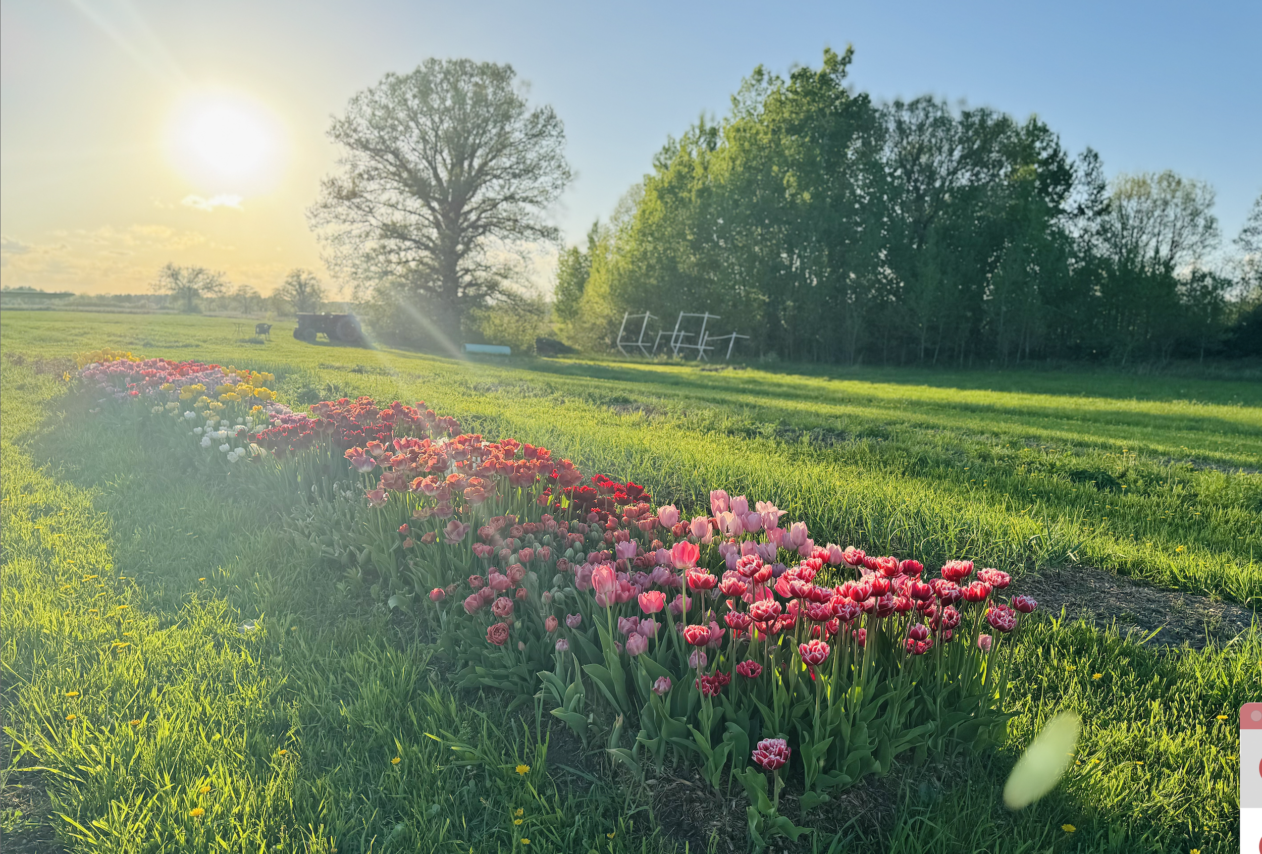 Screenshot 2026-04-14 at 10.45.20 AM.png