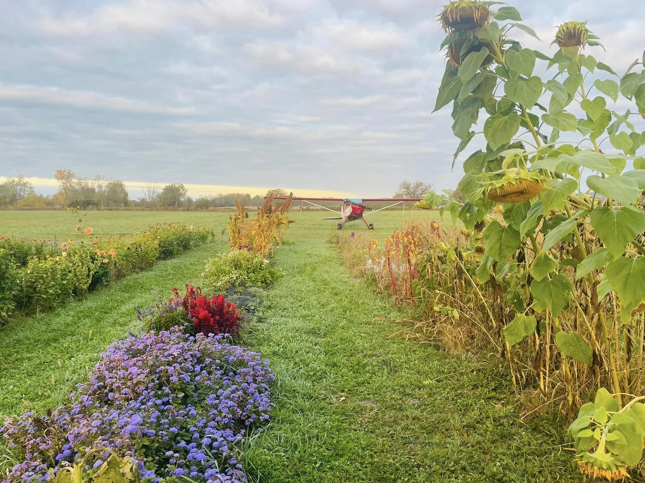 393320489_10163069240968146_6279196894026221963_n.jpg (Copy) (Copy)