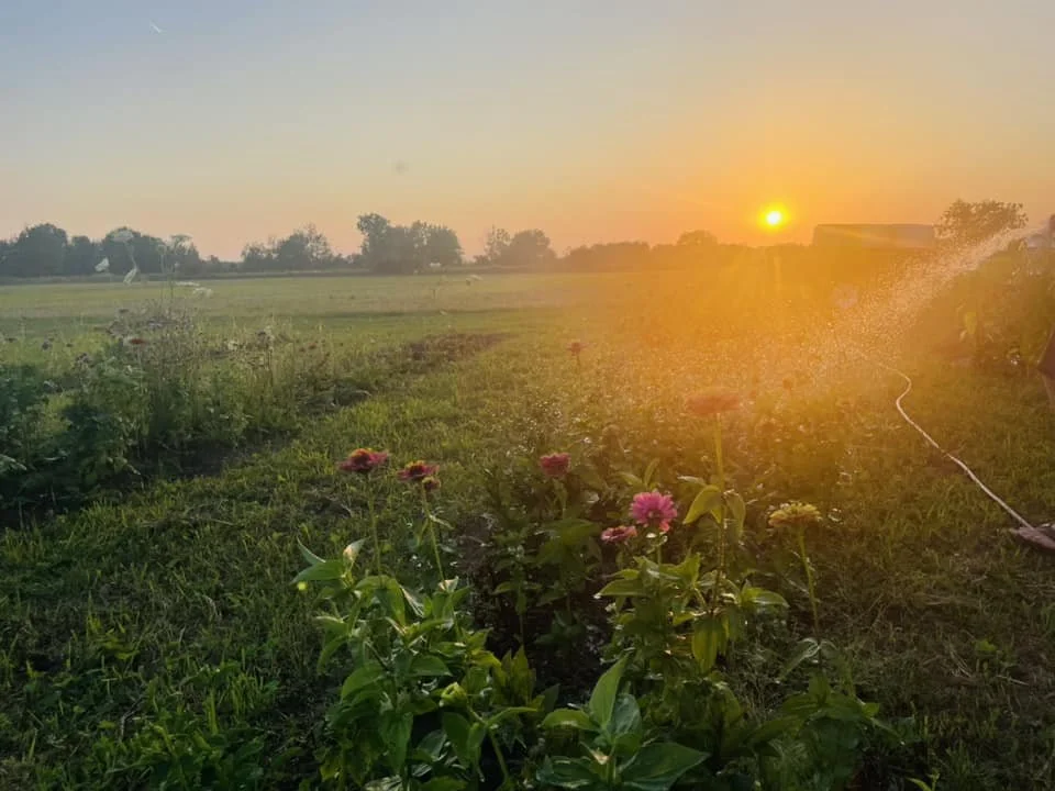 371814627_10162955644023146_6611201836288298473_n.jpg (Copy) (Copy)