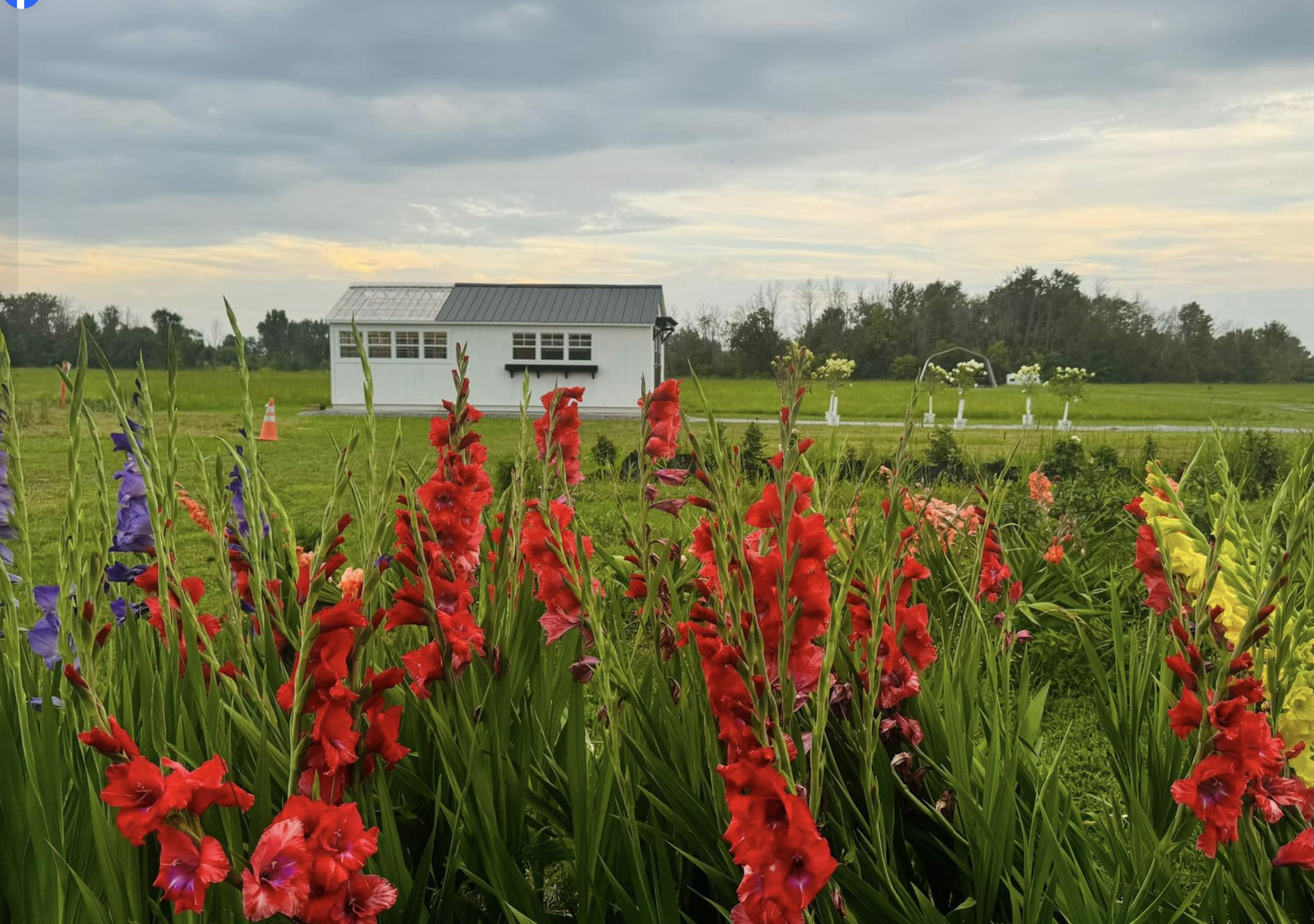 Screenshot 2024-08-09 at 9.32.32 AM.png (Copy) (Copy)