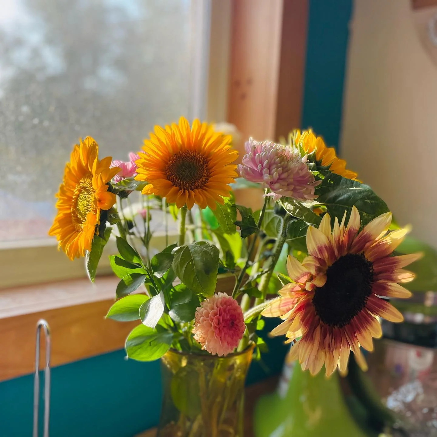 378707132_10162974646048146_933527193326720244_n.jpg (Copy) (Copy)